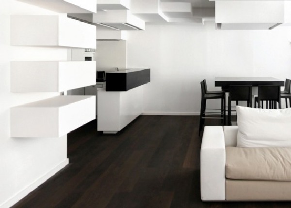 Paris Apartment  Interior Design by Pascal Grasso 